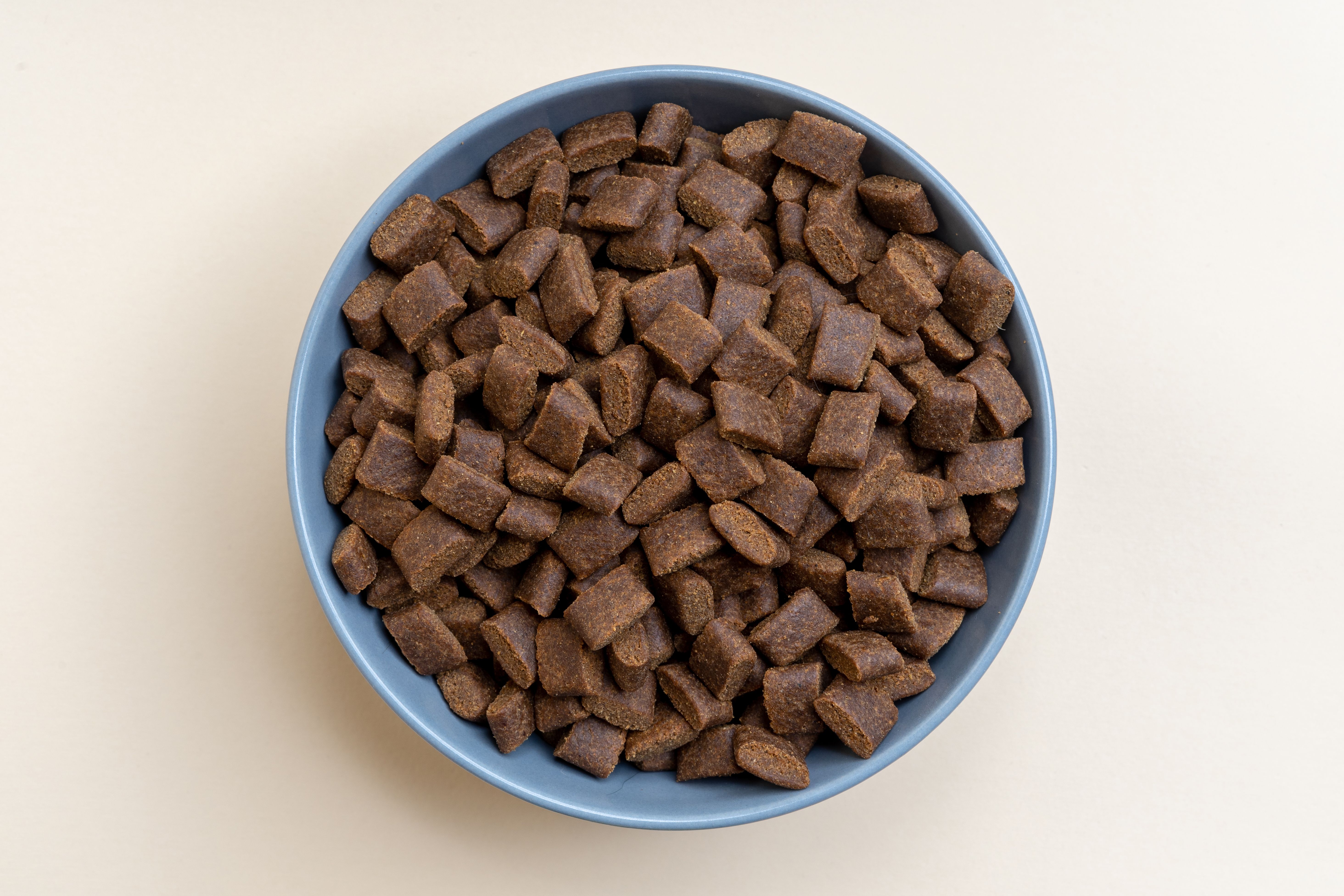 Vue aérienne de croquettes pour chien dans une gamelle