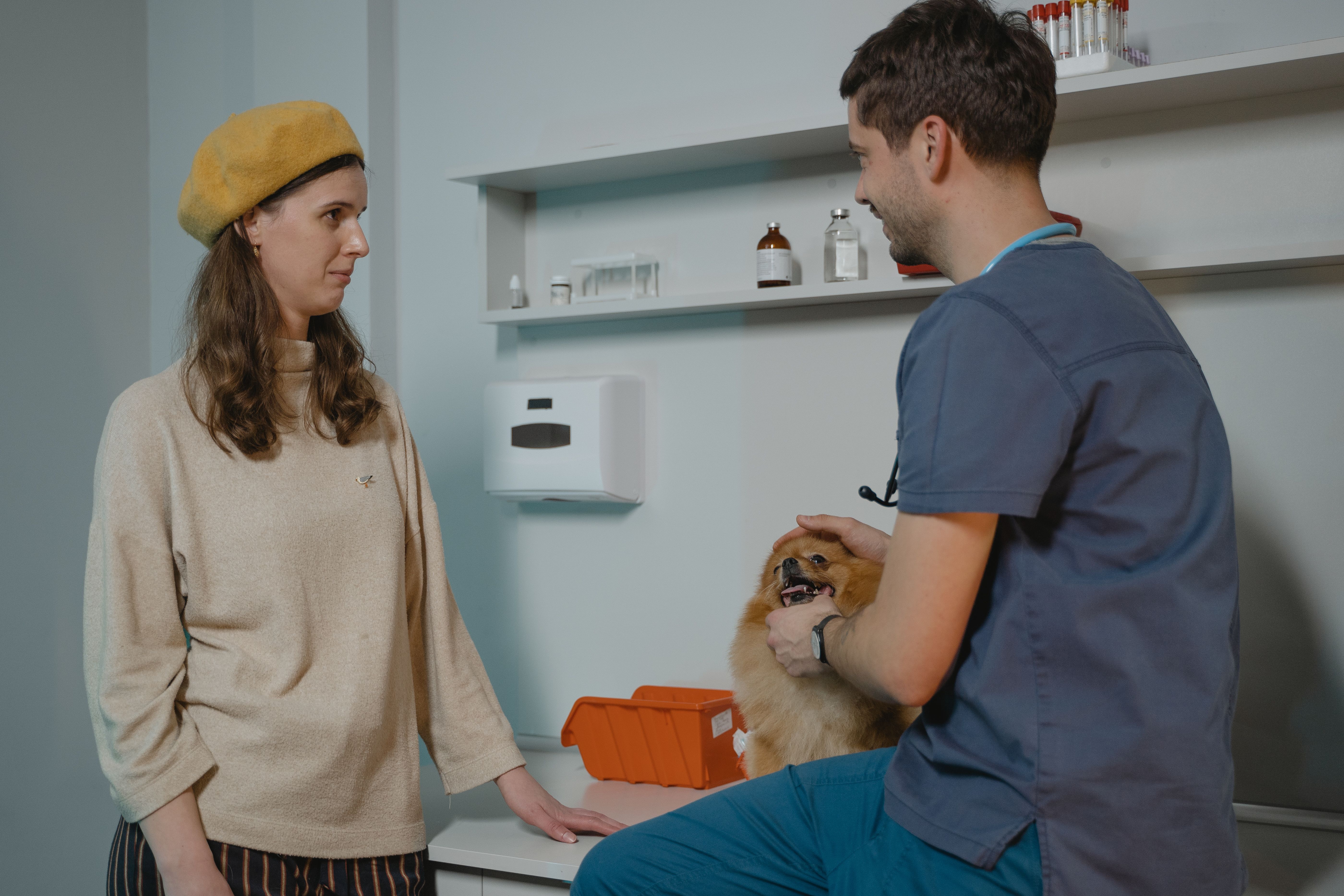 Un vétérinaire échange avec le propriétaire d'un chien lors d'une consultation